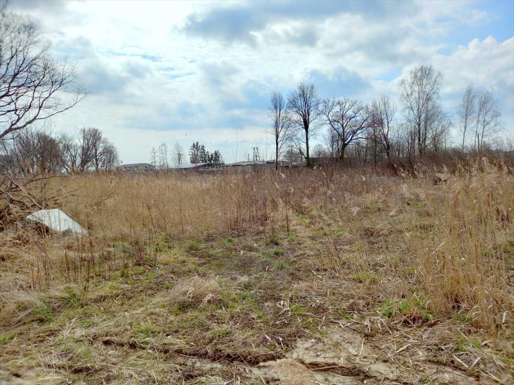 Działka inna na sprzedaż Strzegom  100m2 Foto 7