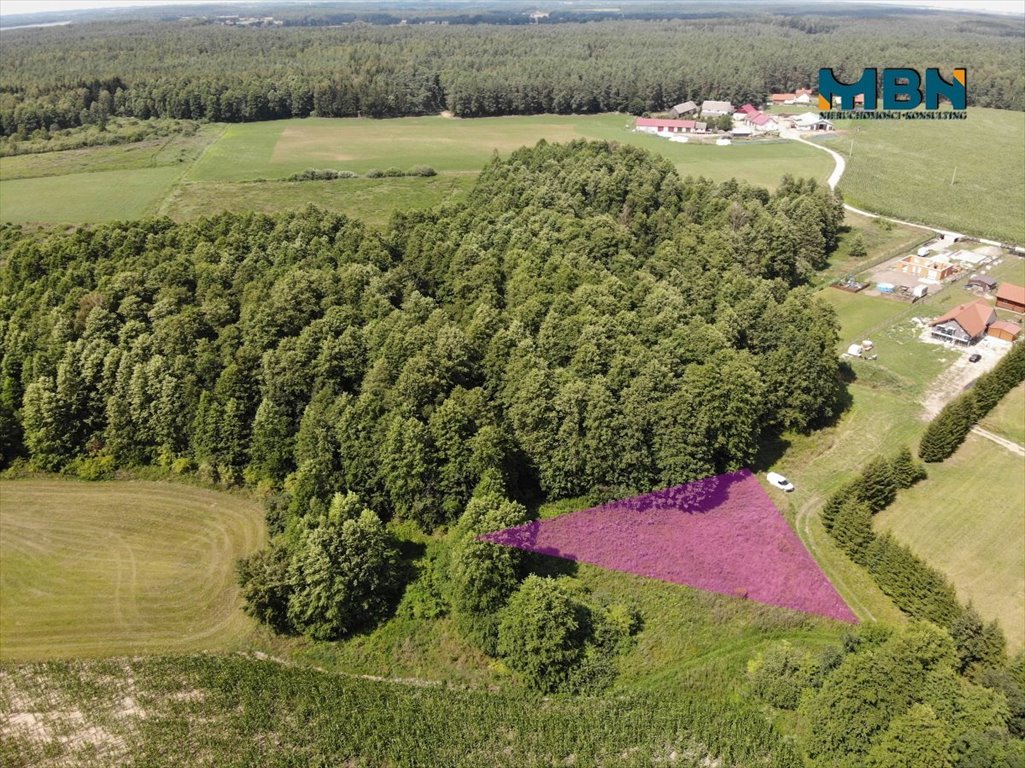 Działka rolna na sprzedaż Pozezdrze, Pieczarki  1 300m2 Foto 3