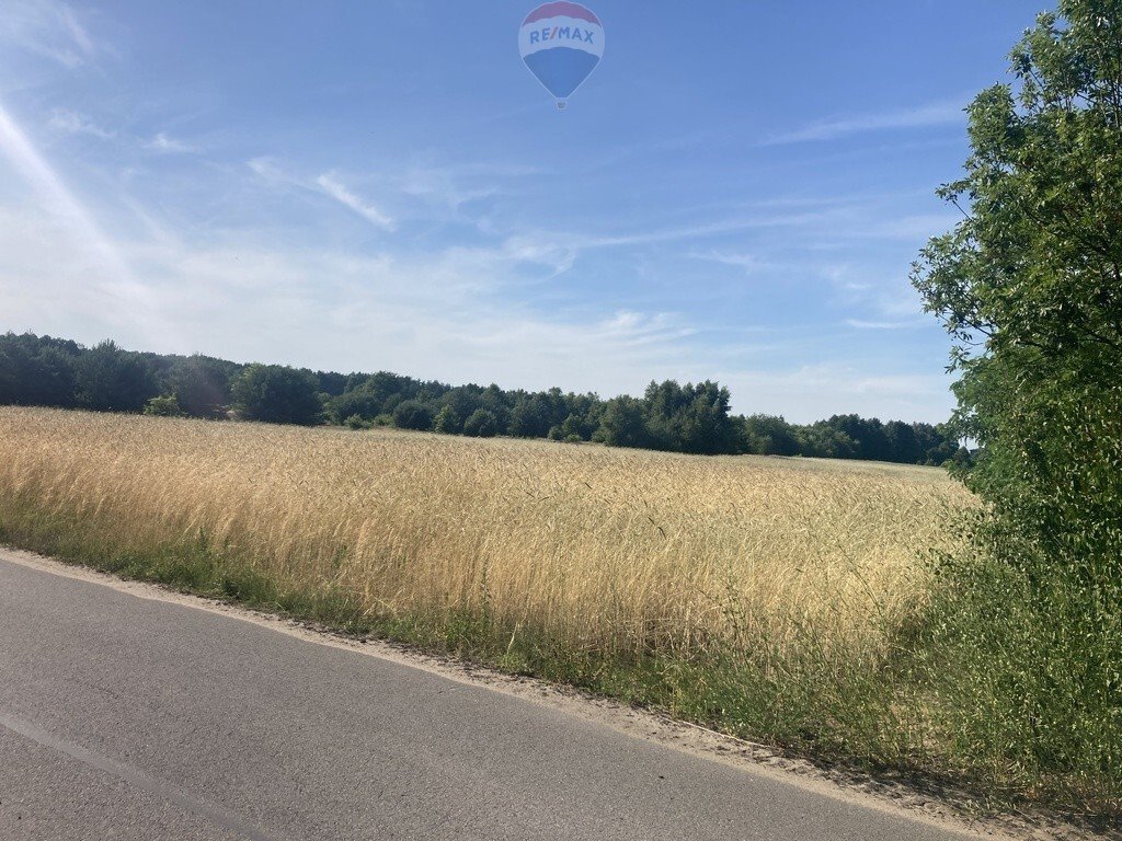 Działka budowlana na sprzedaż Ruda, Teresińska  3 000m2 Foto 1