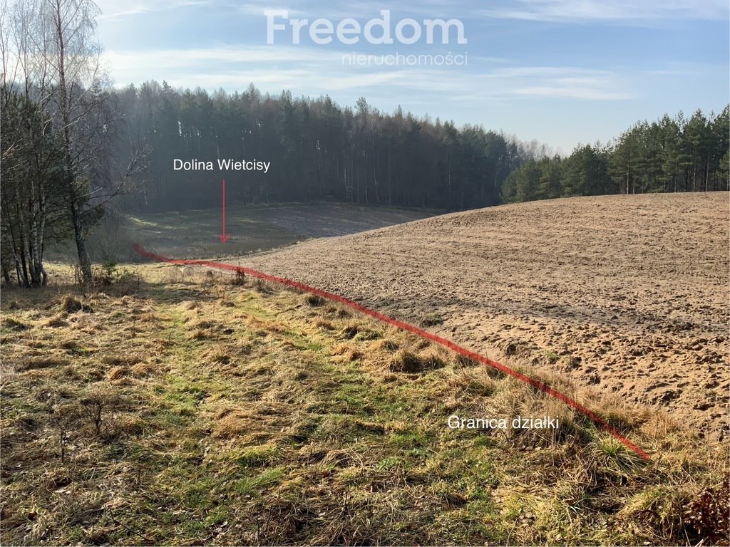 Działka siedliskowa na sprzedaż Szczodrowo  30 600m2 Foto 6