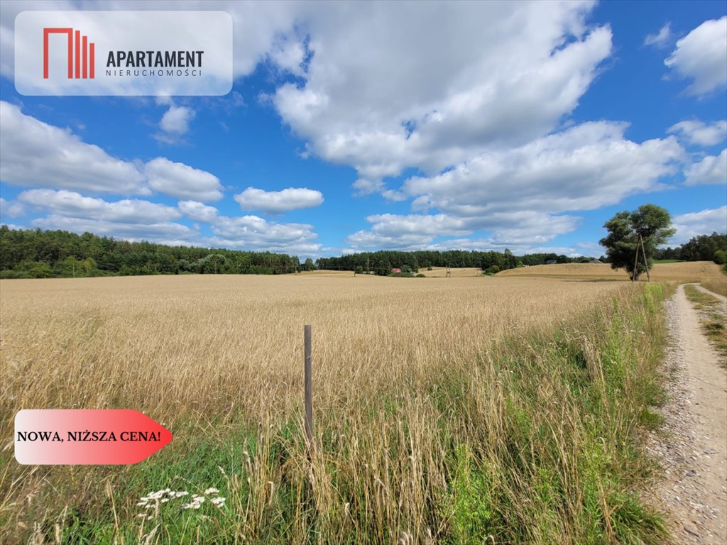 Działka gospodarstwo rolne na sprzedaż Skorzewo  3 000m2 Foto 9