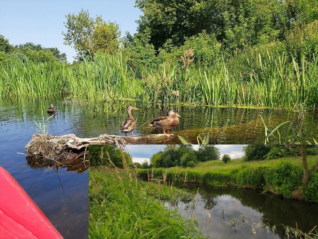 Zdjęcie 2