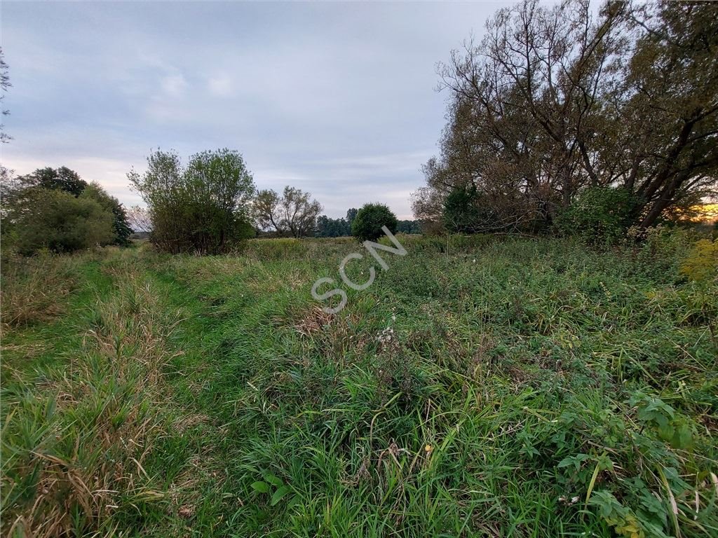 Działka budowlana na sprzedaż Duchnów  1 000m2 Foto 5