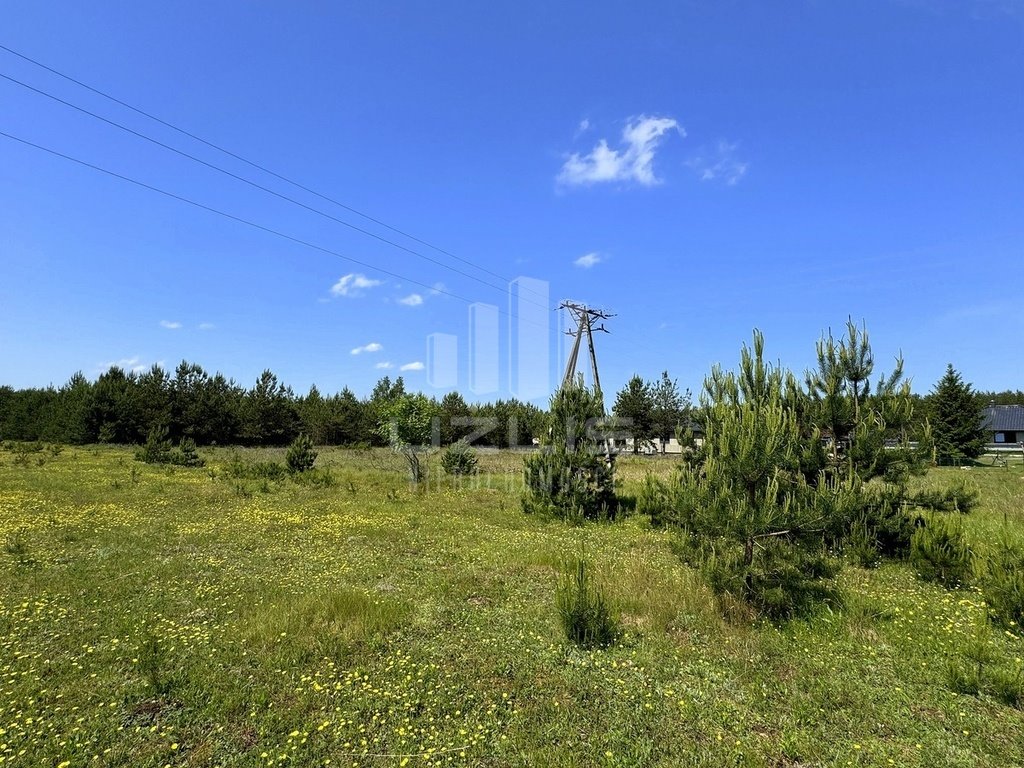 Działka budowlana na sprzedaż Cieciorka, Porzeczkowa  2 604m2 Foto 17