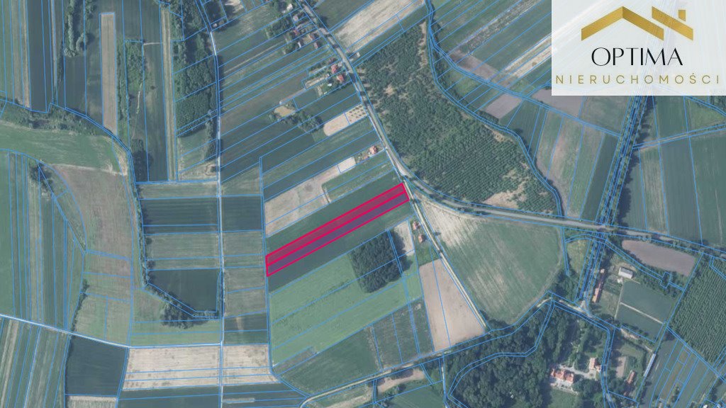 Działka budowlana na sprzedaż Wysocko  15 523m2 Foto 1