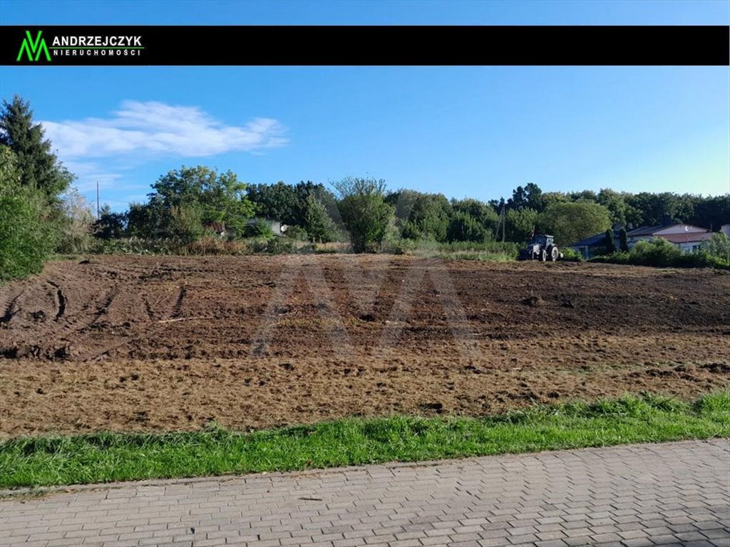 Działka inna na sprzedaż Lisewo, Lisowe, Lisowe, lisewska  125 000m2 Foto 1