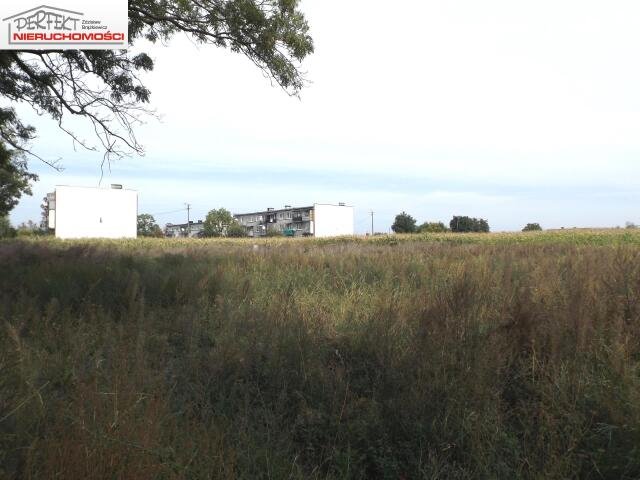 Działka budowlana na sprzedaż Osiek  1 805m2 Foto 1