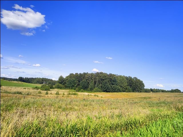 Działka leśna na sprzedaż Wołowno  19 700m2 Foto 3