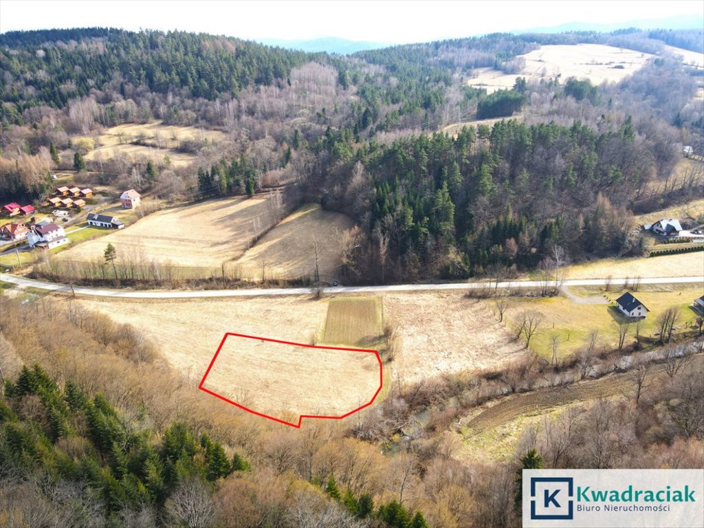 Działka budowlana na sprzedaż Wołkowyja  3 992m2 Foto 1