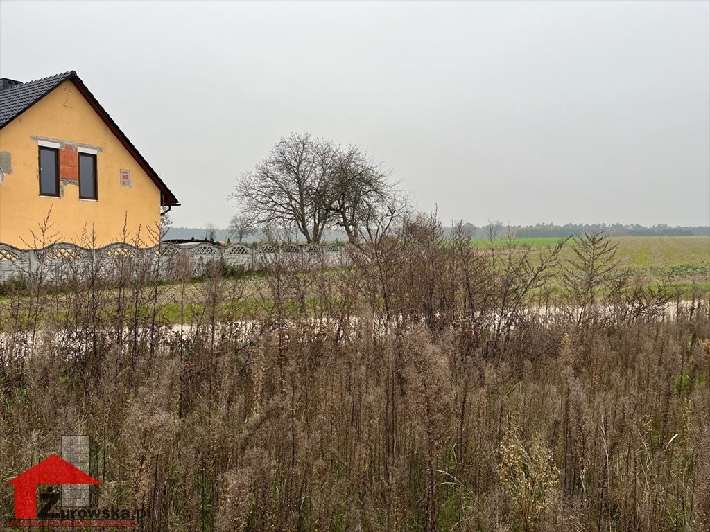 Działka budowlana na sprzedaż Centawa  1 200m2 Foto 7