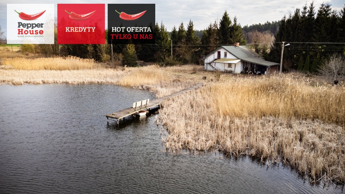 Polecam dużą działkę z domem i zbiornikiem wodnym w Litwinkach Litwinki  93 924m2 Foto 1