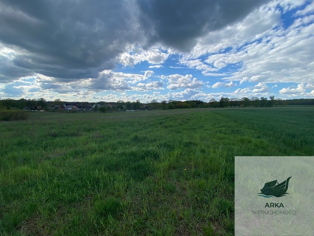 Działka 1567 m² z warunkami zabudowy, asfalt, woda, prąd Rogowo  1 567m2 Foto 1