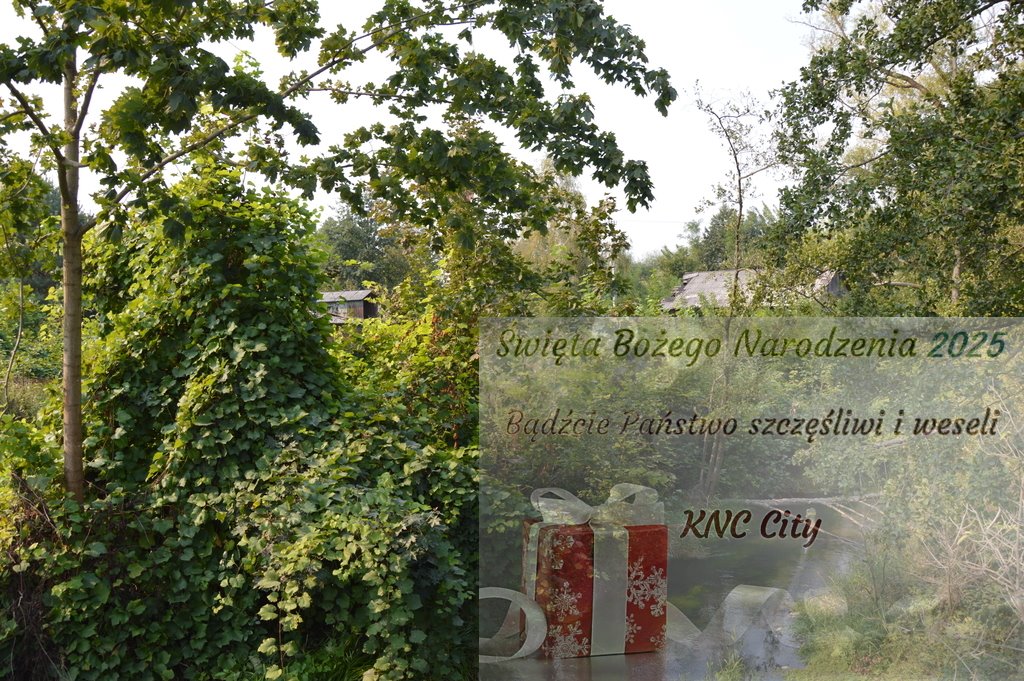 Działka budowlana na sprzedaż Urzędów, Błażeja Dzikowskiego  2 498m2 Foto 1