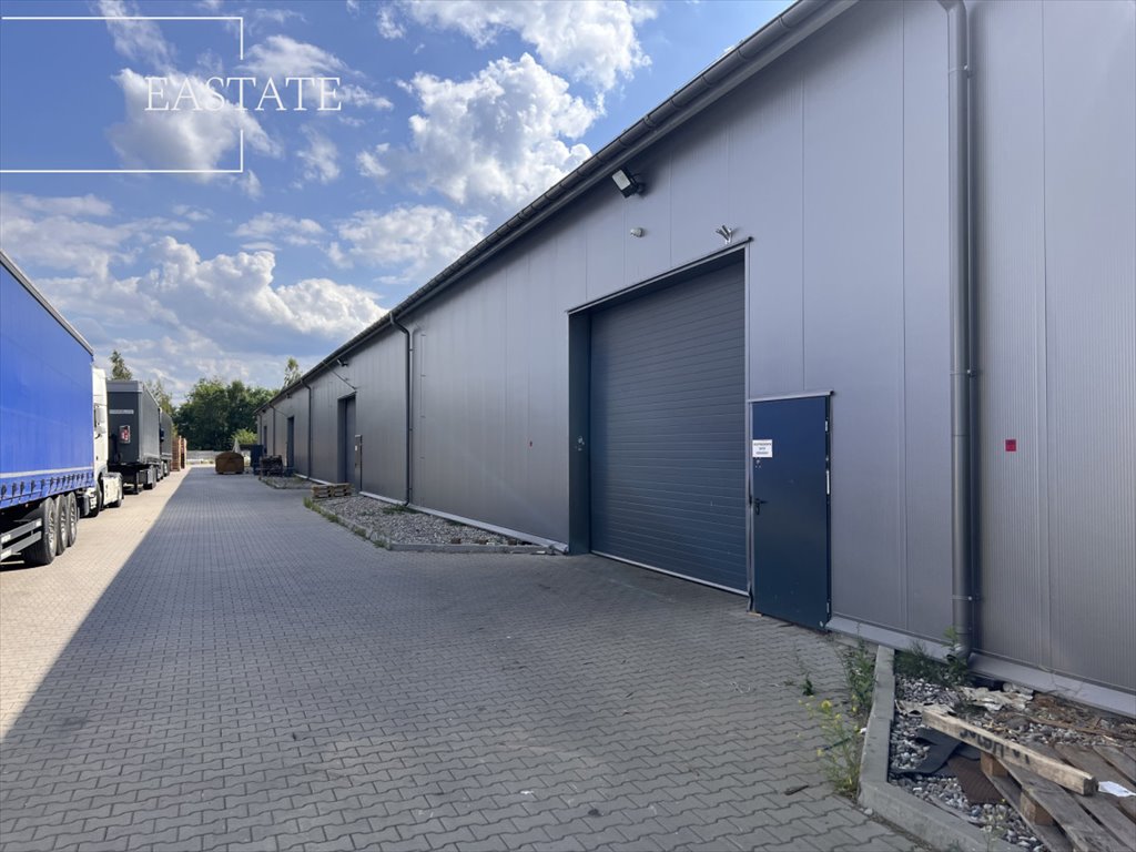 Magazyn na wynajem Rasztów  1 230m2 Foto 4