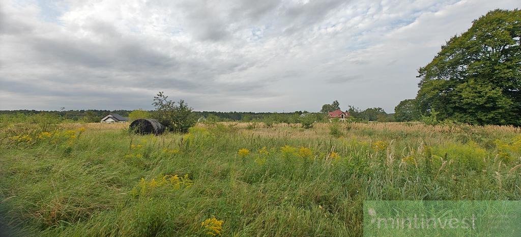 Działka budowlana na sprzedaż Białuń  3 113m2 Foto 4