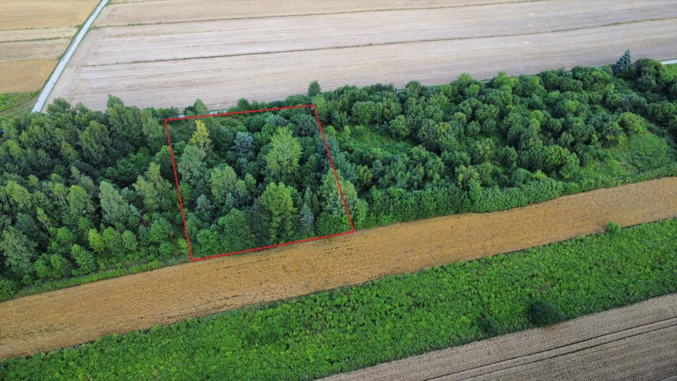 Działka budowlana na sprzedaż Giebło  3 828m2 Foto 7