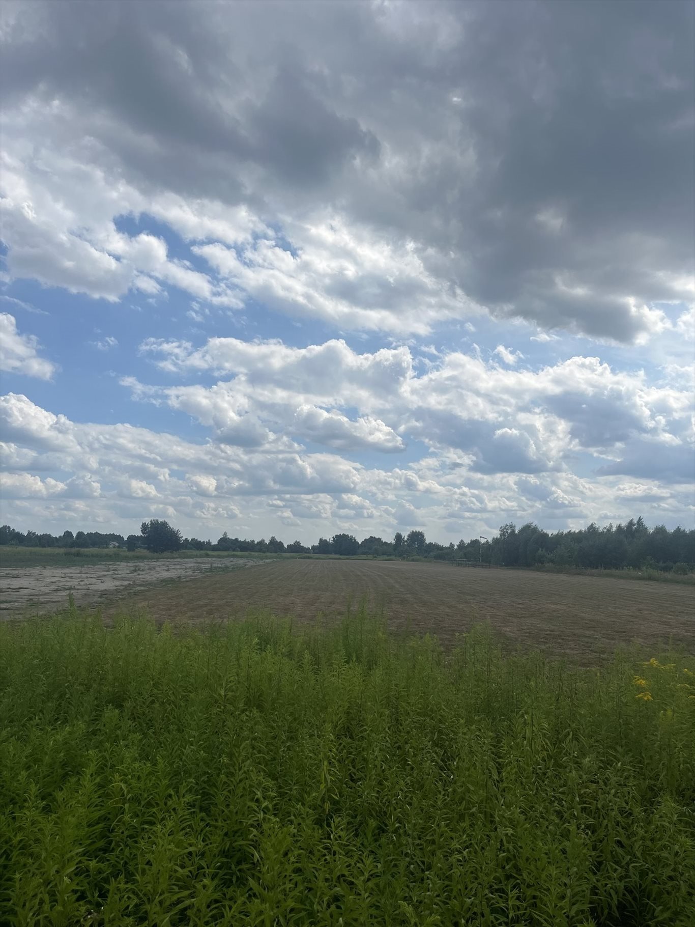 Działka rolna na sprzedaż Stare Babice, Zalesie  3 835m2 Foto 2