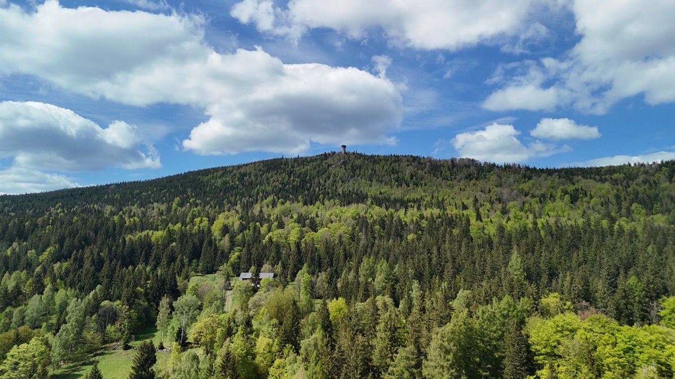 Mieszkanie dwupokojowe na sprzedaż Szklarska Poręba  41m2 Foto 1