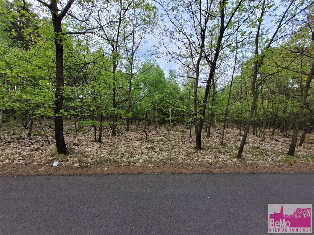 Zalesiona działka 3000 m² z dostępem do jeziora Smólnik  3 000m2 Foto 1