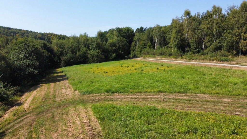 Działka budowlana na sprzedaż Nowy Borek  4 175m2 Foto 7