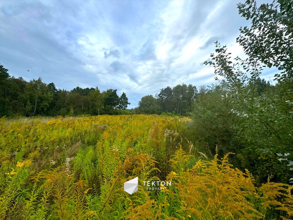 Działka inwestycyjna 8 188 m² w Gdyni Chwarzno-Wiczlino Gdynia, Chwarzno-Wiczlino, Sucha  8 188m2 Foto 1