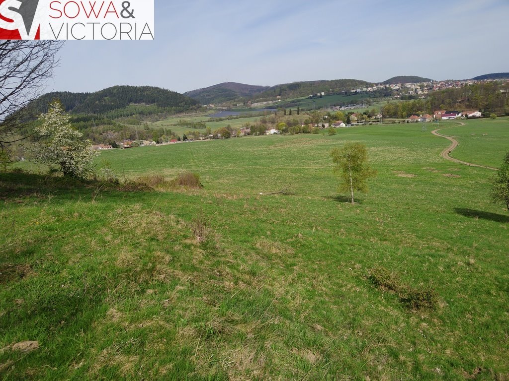 Działka rekreacyjna na sprzedaż Boguszów-Gorce, Stary Lesieniec  7 168m2 Foto 3