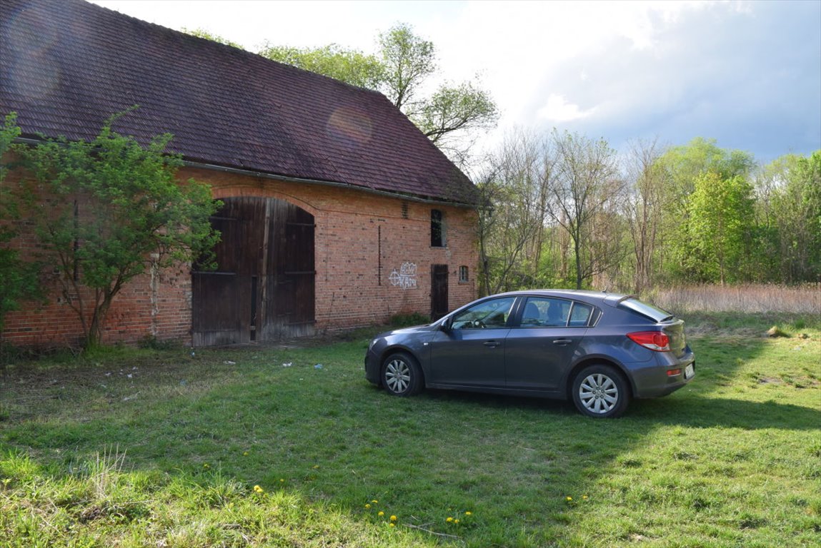 Działka rolna na sprzedaż Krzeczyn, Leśny Młyn  65 000m2 Foto 3