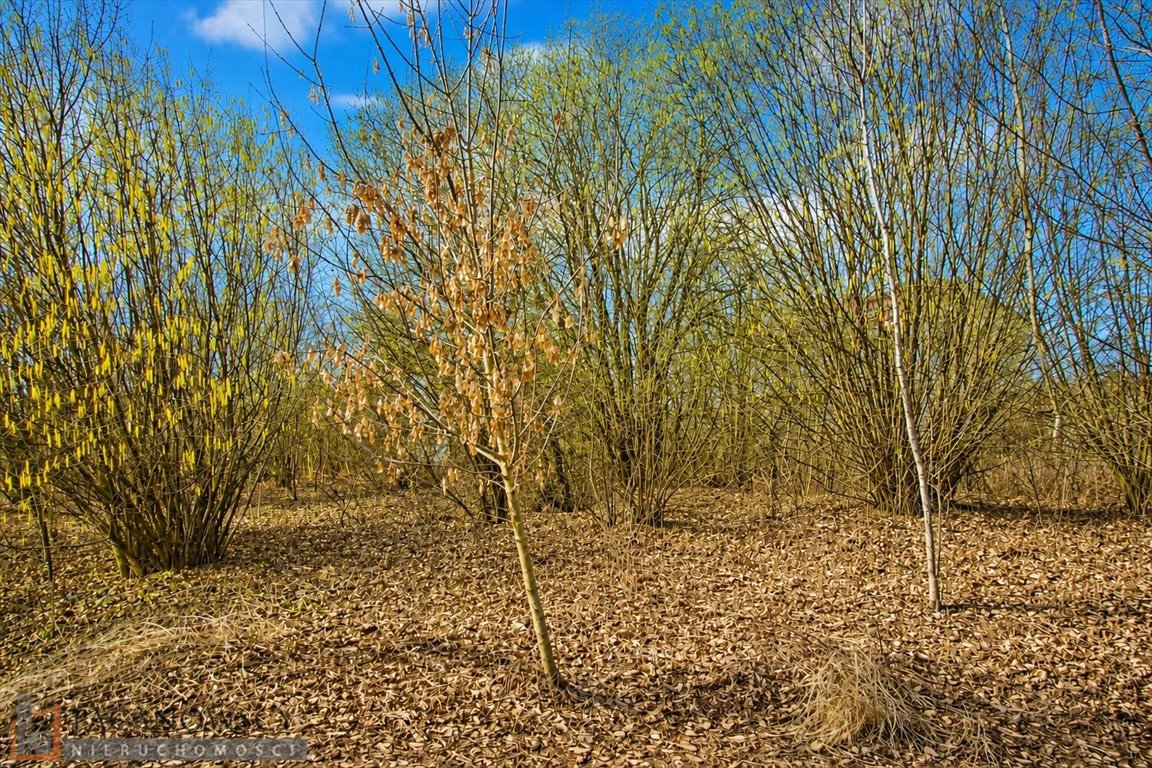 Działka budowlana 16,04 ara z mediami - blisko Krakowa Bibice  1 604m2 Foto 1