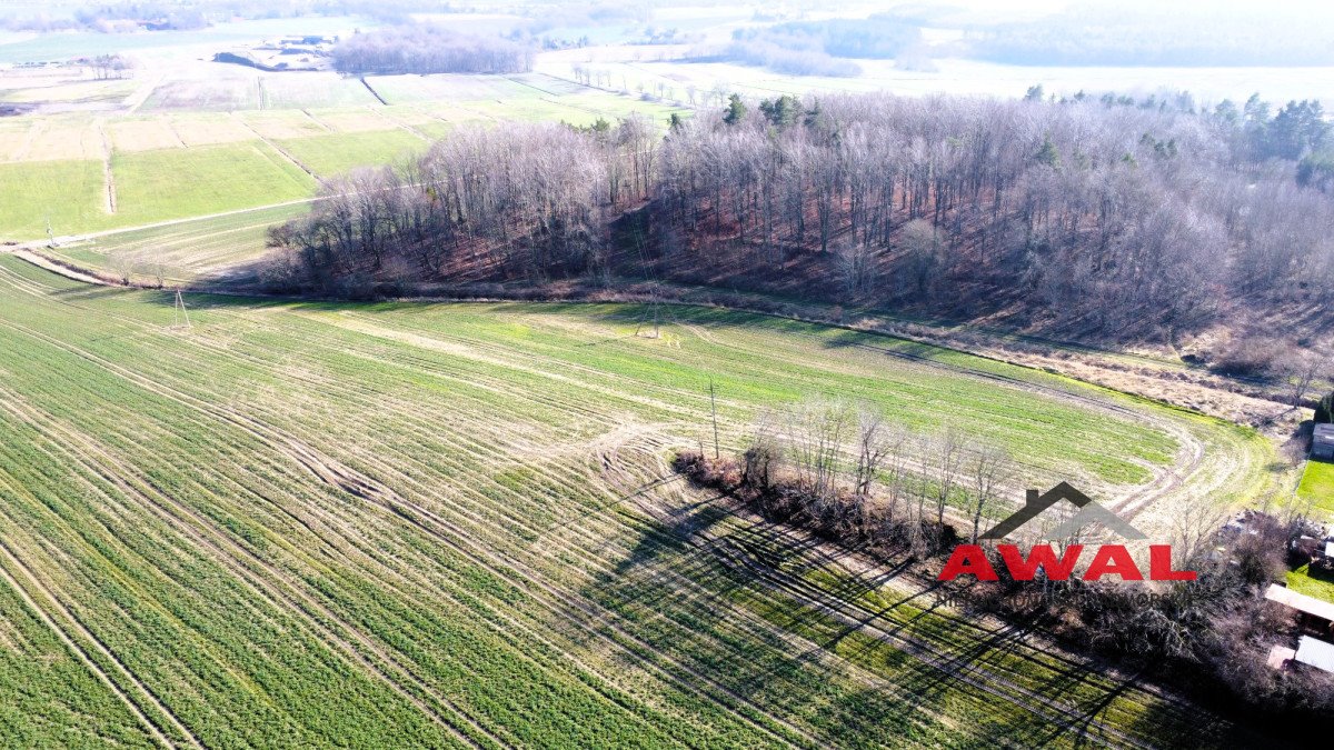 Działka gospodarstwo rolne na sprzedaż Sulicice  3 000m2 Foto 5