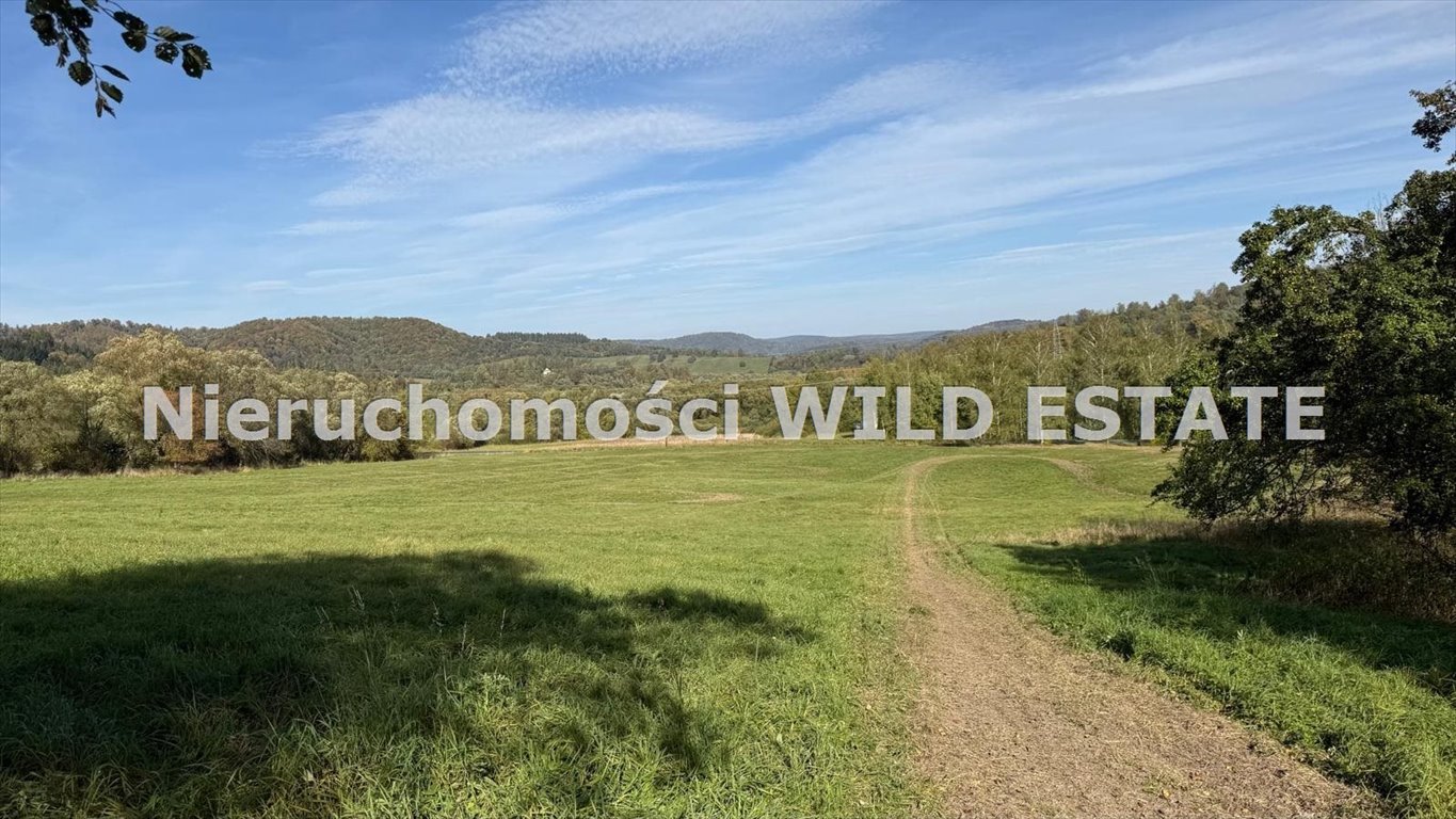 Sprzedam działkę 2000 m² z warunkami zabudowy w Rajskim Solina, Rajskie  1 999m2 Foto 1
