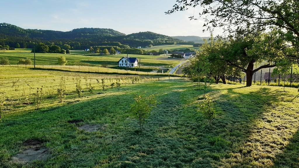 Działka budowlana na sprzedaż Markuszowa  30 000m2 Foto 4