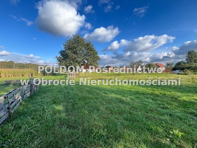 Działka budowlana na sprzedaż Kotowice  2 953m2 Foto 2