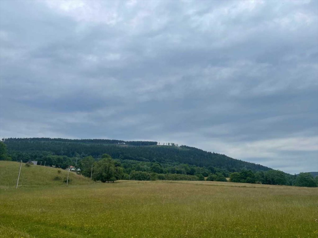 Działka inna na sprzedaż Nowa Ruda  1 300m2 Foto 2