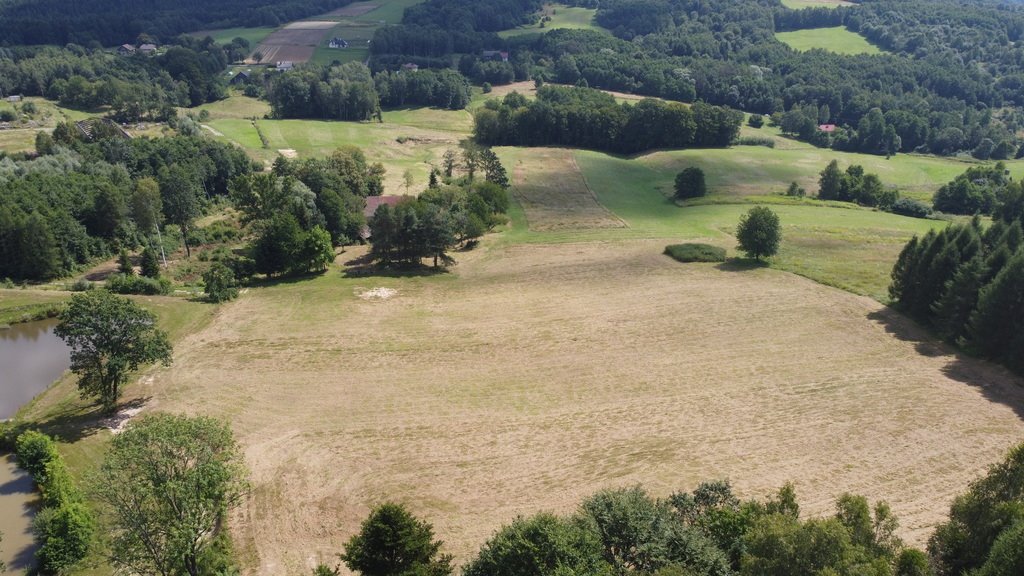 Działka budowlana na sprzedaż Lutcza  107 000m2 Foto 10