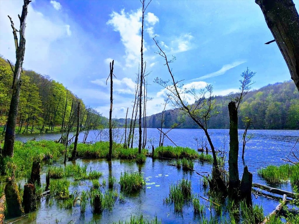 Dom na sprzedaż Czarnkowie  130m2 Foto 20