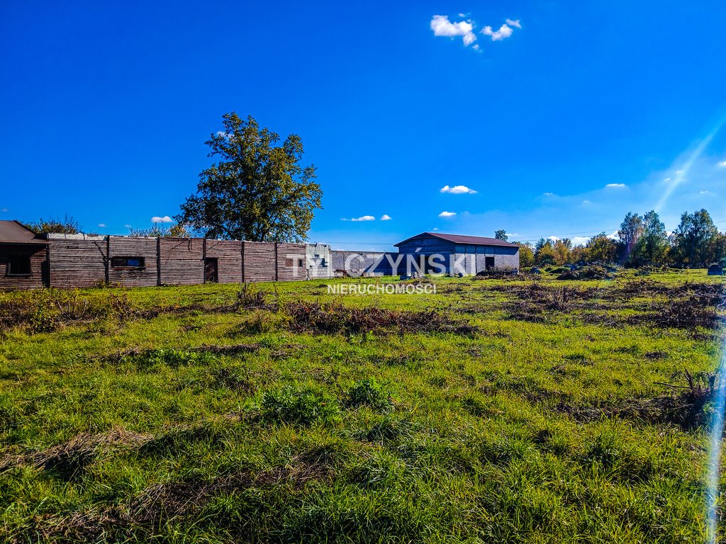 Działka budowlana na sprzedaż Kozerki  10 800m2 Foto 8