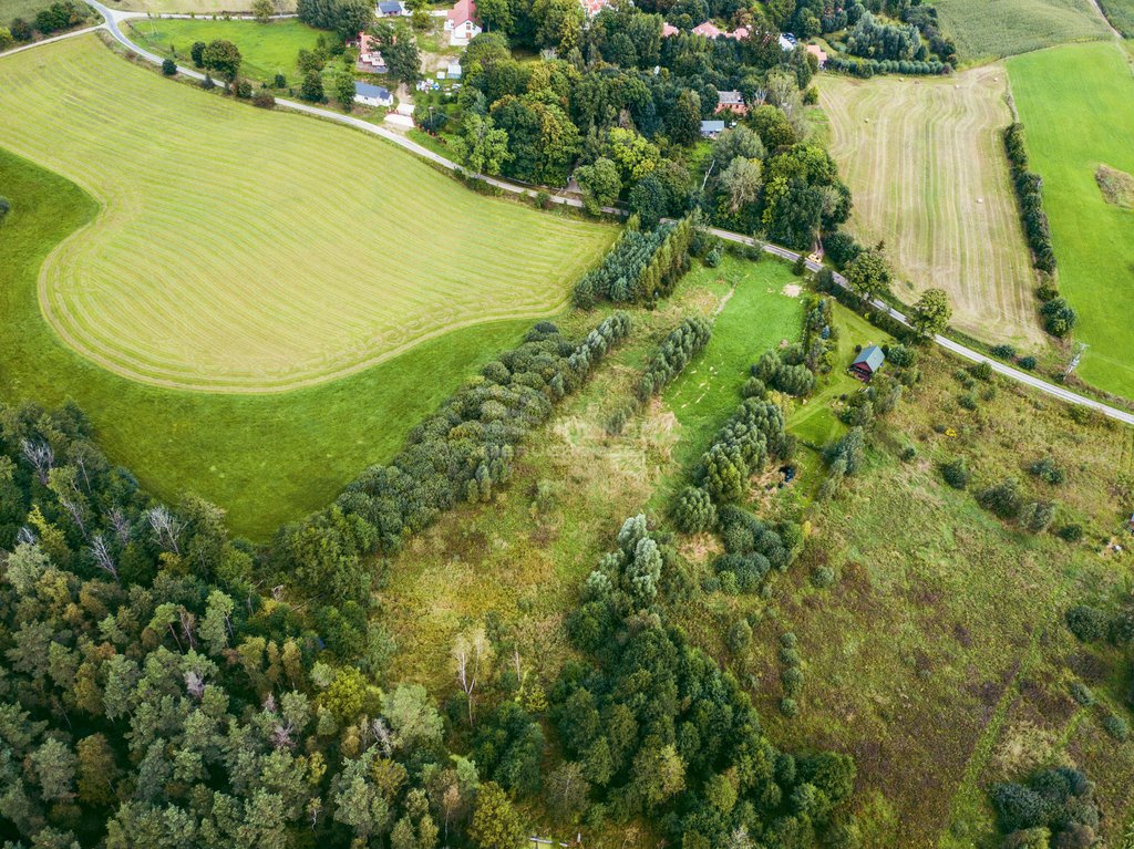 Działka rolna na sprzedaż Golubie  3 687m2 Foto 6