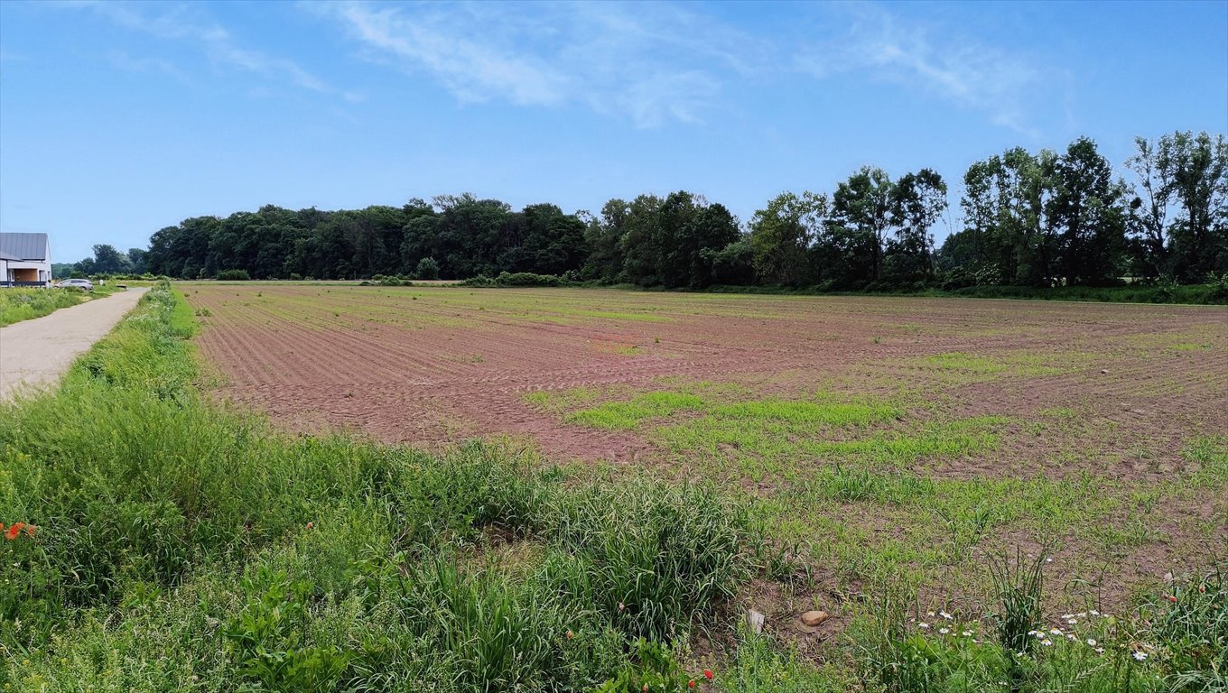 Działka budowlana na sprzedaż Chrzanów, Szmaragdowa  9 000m2 Foto 1