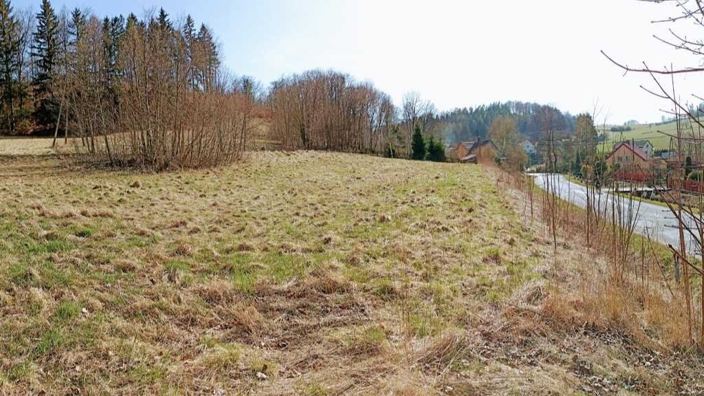 Zapraszam do zakupu działki 21,5 ar w Dzikowcu z mediami Nowa Ruda, Dzikowiec  2 150m2 Foto 1