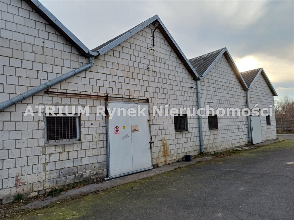 Na wynajem magazyn 1000 m² z 4 halami i utwardzonym terenem Michałów  1 000m2 Foto 1