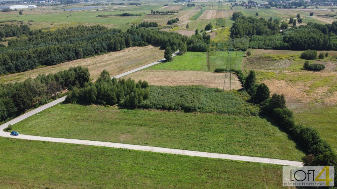 Działka budowlana na sprzedaż Rajsko  5 121m2 Foto 12