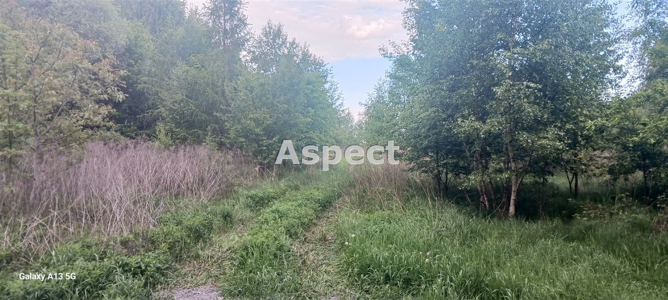 Działka budowlana na sprzedaż Gołkowice  3 140m2 Foto 1