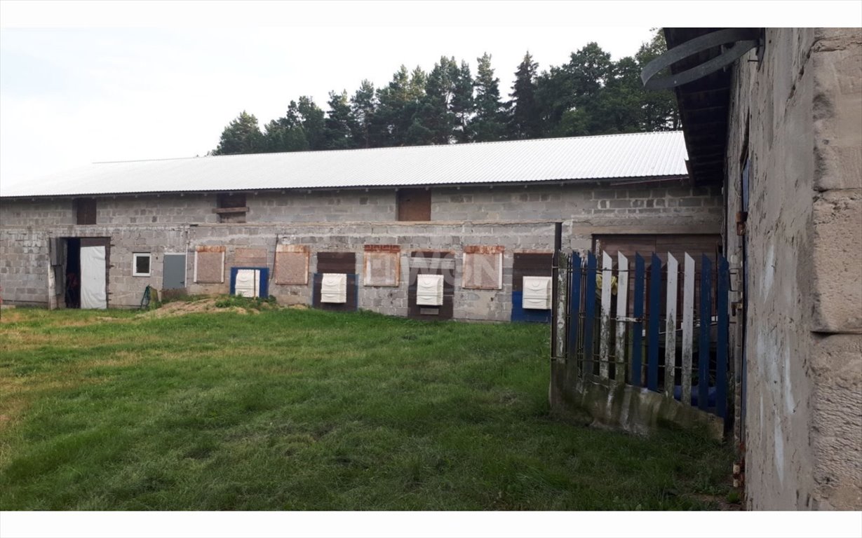 Działka budowlana na sprzedaż Koziegłowy, Rzeniszów  47 000m2 Foto 5