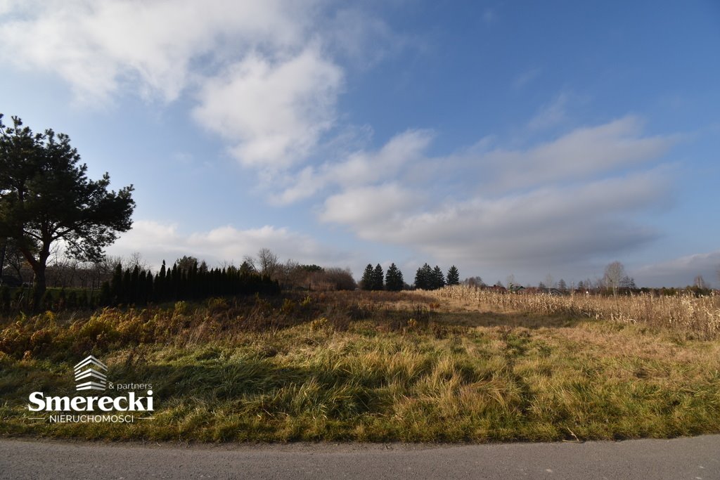 Działka budowlana na sprzedaż Okszów, Sosnowa  3 966m2 Foto 1