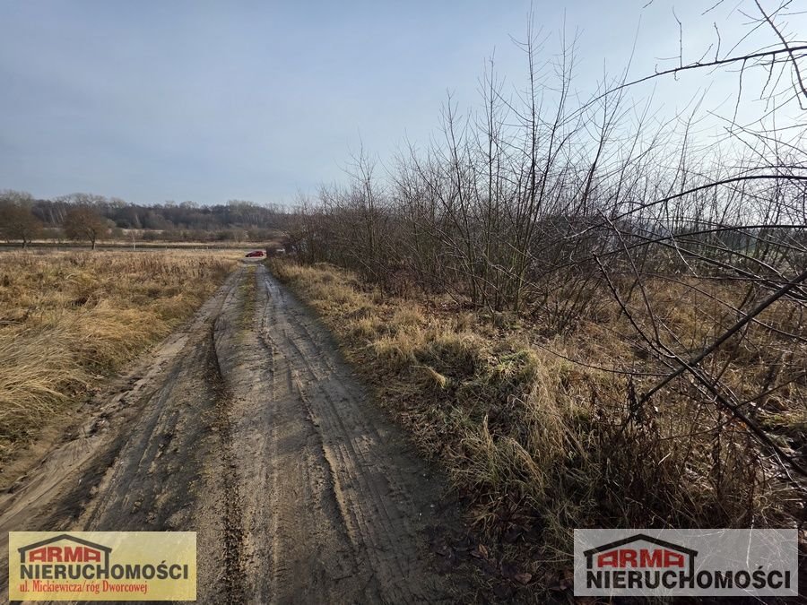 Działka pod zabudowę 2155 m² w Żarowie - polecam Żarowo, Kwarcowa  1 000m2 Foto 1