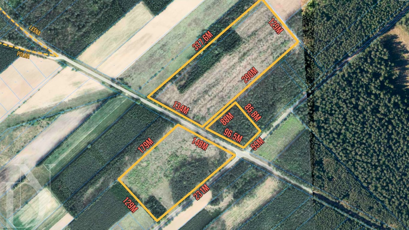 Do sprzedania działki leśne 7,4 ha z dostępem do drogi Czechy Orlańskie, Czechy Orlańskie  74 146m2 Foto 1