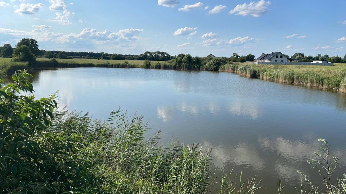 Działka budowlana na sprzedaż Studzieniec, Międzylesie  1 700m2 Foto 2