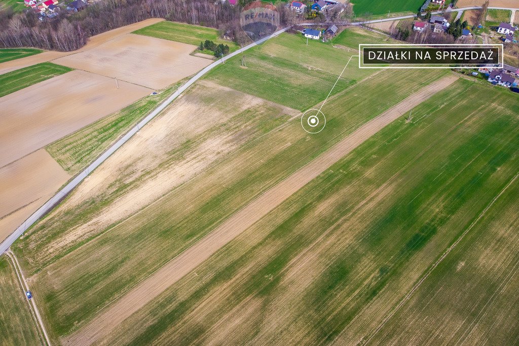 Działka budowlana na sprzedaż Grzegorzowice Wielkie  3 200m2 Foto 5