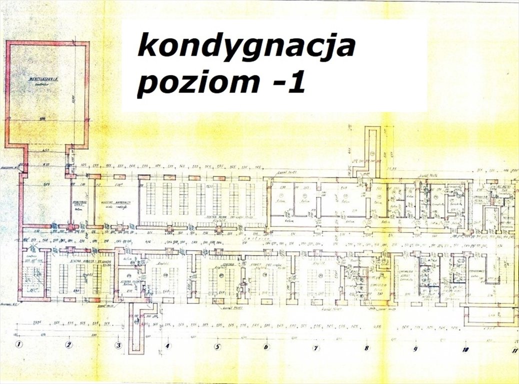 Lokal użytkowy na wynajem Błonie, Błonie  2 329m2 Foto 14