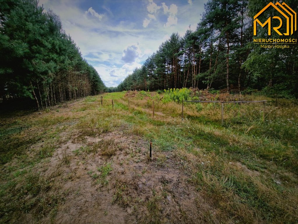 Działka inna na sprzedaż Żdżary  1 200m2 Foto 8